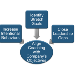 executive coaching executive coaching